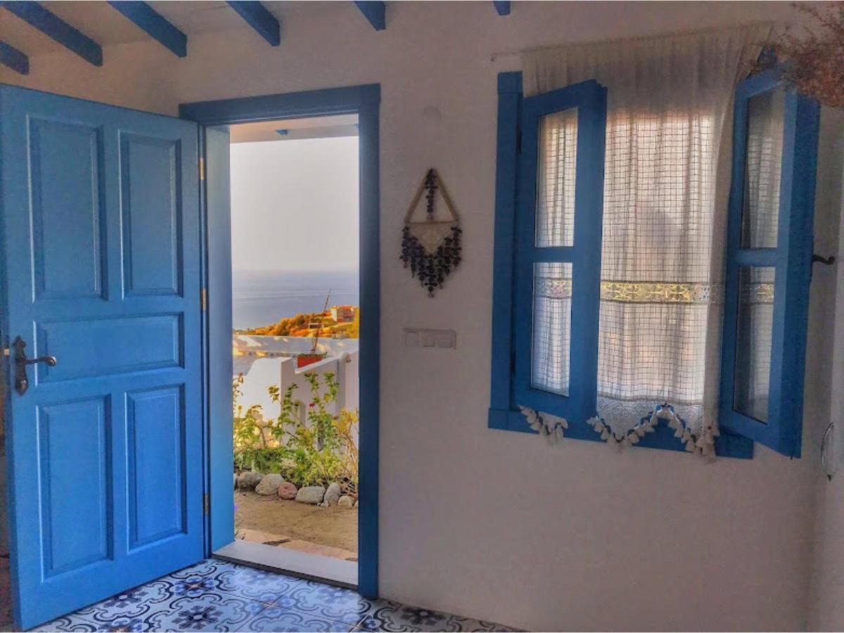 Mavi Kelebek داتْشا المظهر الخارجي الصورة