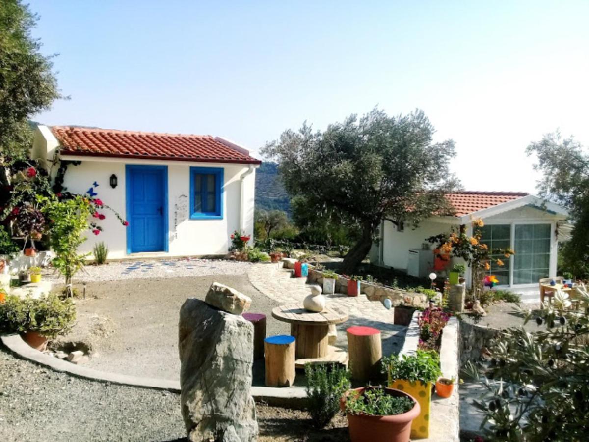 Mavi Kelebek داتْشا المظهر الخارجي الصورة